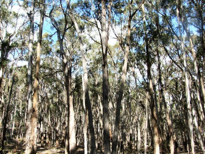 Glen Innes NSW 2370