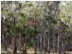 Glen Innes NSW 2370