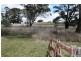 182 Government Lane, Ben Lomond NSW 2365