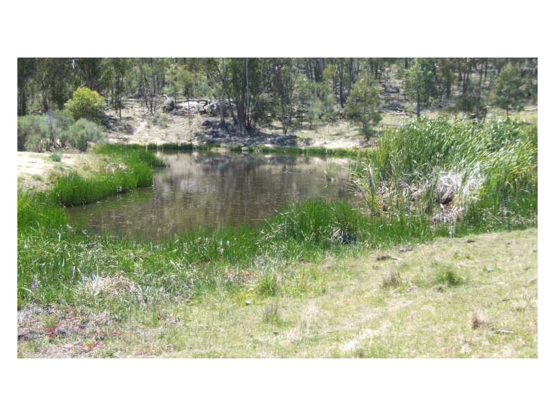 Bonnay-Linton Road Bundarra, Glen Innes NSW 2370