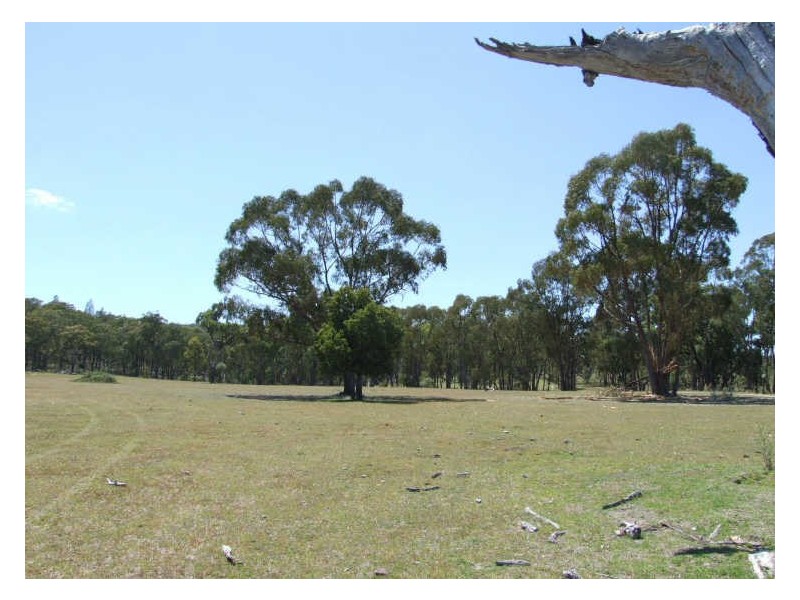 Bonnay-Linton Road Bundarra, Glen Innes NSW 2370