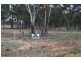 Emmaville NSW 2371