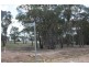 Emmaville NSW 2371