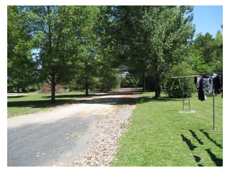 209 Grafton Street, Glen Innes NSW 2370