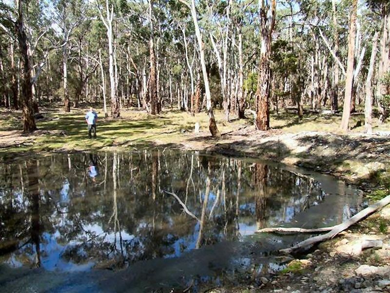Deepwater NSW 2371
