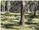 Deepwater NSW 2371