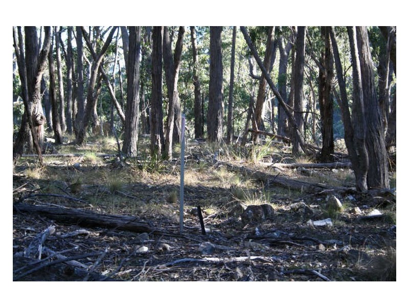 Deepwater NSW 2371