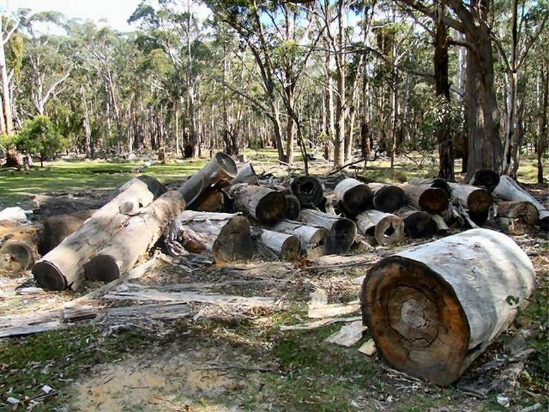 Deepwater NSW 2371