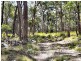 Deepwater NSW 2371