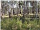 Deepwater NSW 2371