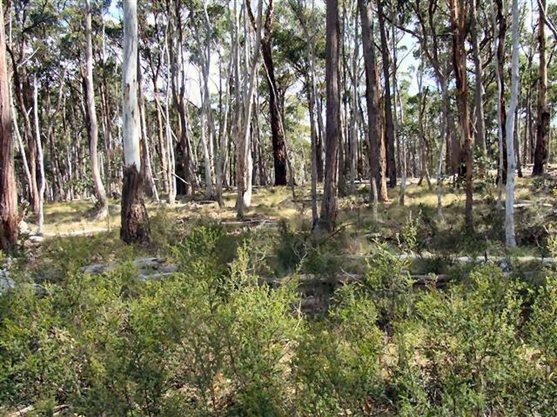 Deepwater NSW 2371