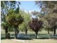 Glen Innes NSW 2370