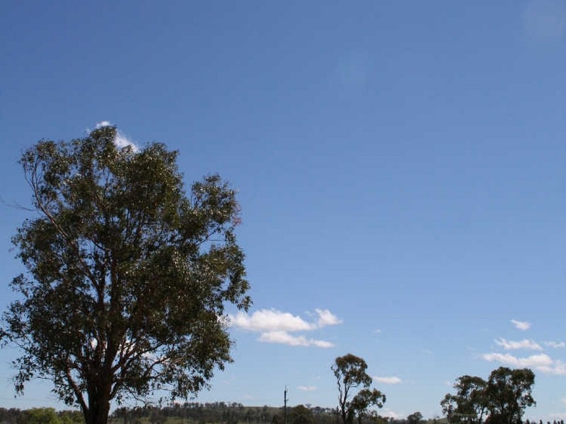 Dundee NSW 2370