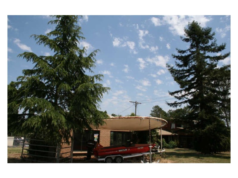 25 Fawcett Road, Glen Innes NSW 2370