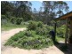 Glencoe NSW 2365
