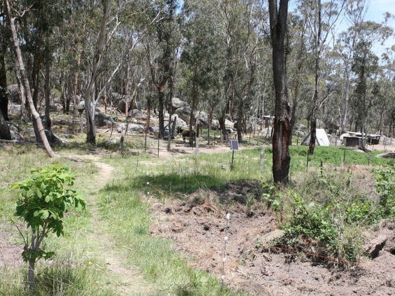 Glencoe NSW 2365