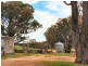 Wellingrove NSW 2370
