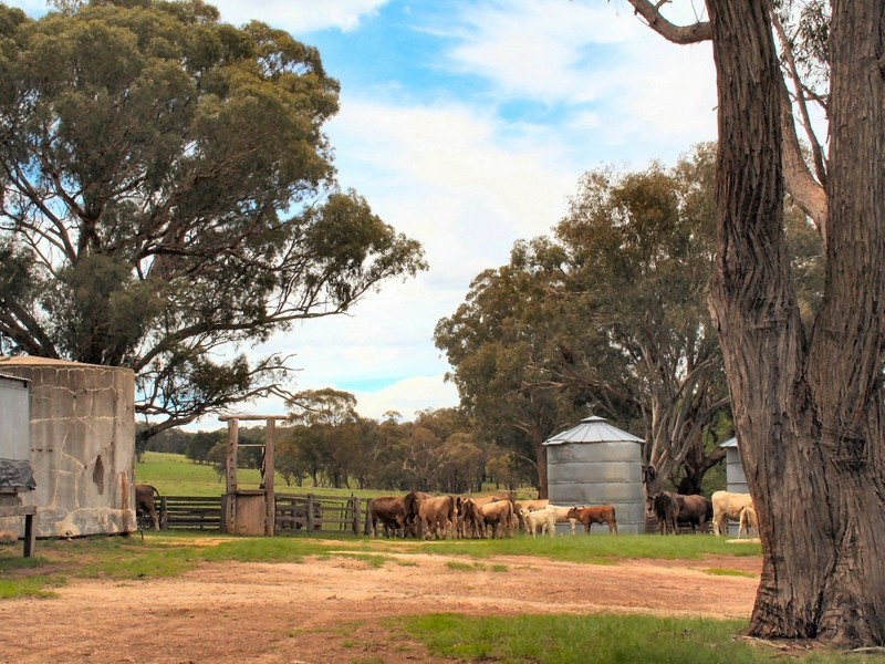Wellingrove NSW 2370