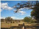 Wellingrove NSW 2370