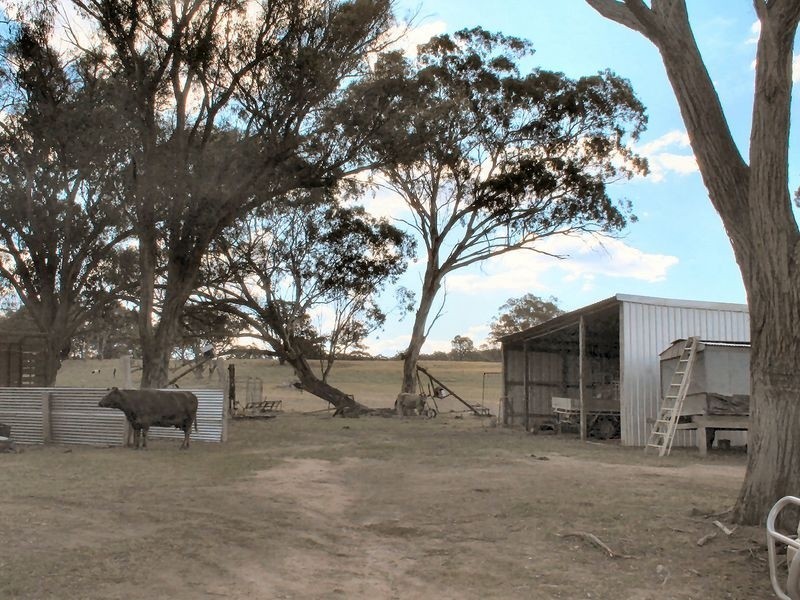 Wellingrove NSW 2370