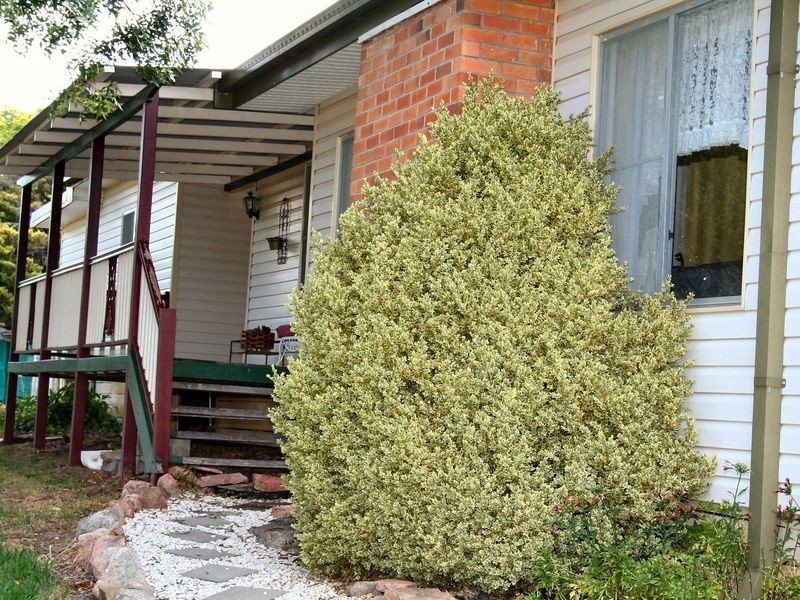 Wellingrove NSW 2370