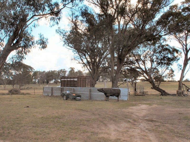 Wellingrove NSW 2370
