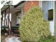 Wellingrove NSW 2370
