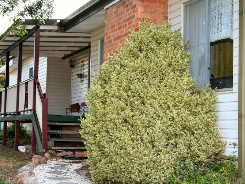 Wellingrove NSW 2370