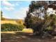Wellingrove NSW 2370