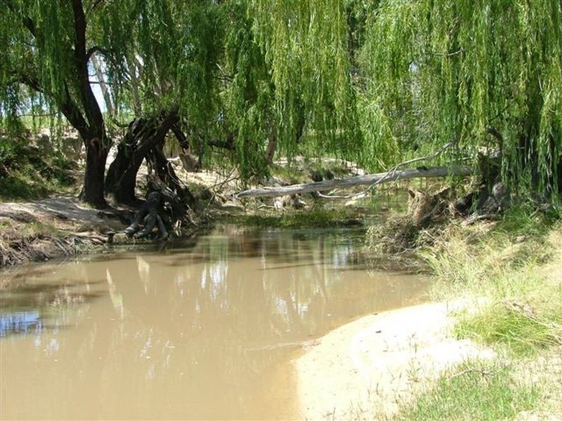 Lot 142 Poolbrook Road, Nullamanna NSW 2360