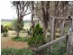 Tenterfield NSW 2372