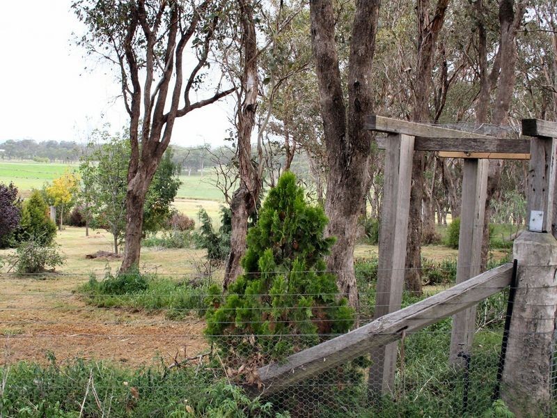 Tenterfield NSW 2372