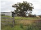Tenterfield NSW 2372