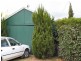 Tenterfield NSW 2372
