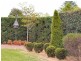 Tenterfield NSW 2372