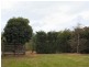 Tenterfield NSW 2372