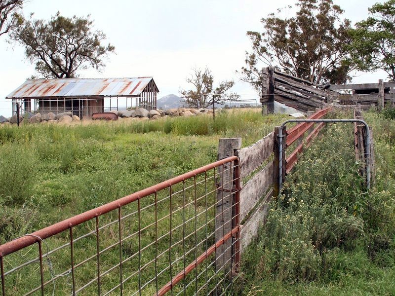 Tenterfield NSW 2372