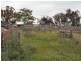 Tenterfield NSW 2372