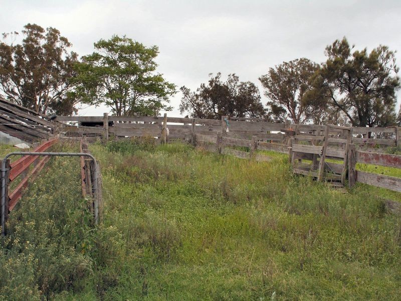 Tenterfield NSW 2372