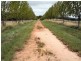 Tenterfield NSW 2372