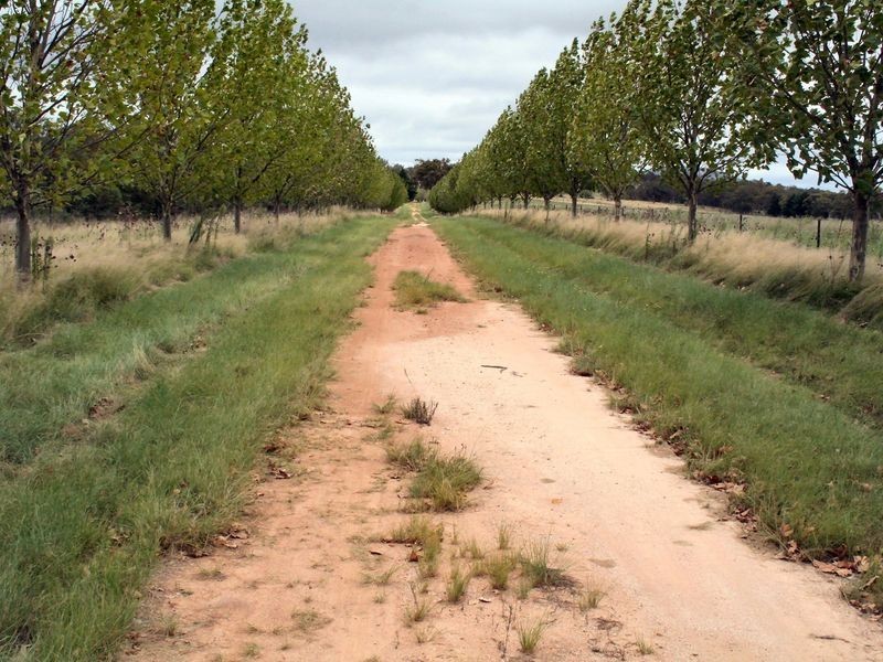 Tenterfield NSW 2372