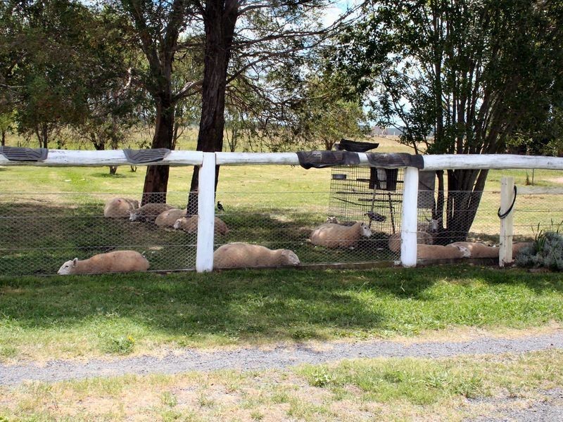 2 Wellingrove Street, Glen Innes NSW 2370