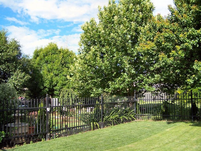 141 Church Street, Glen Innes NSW 2370