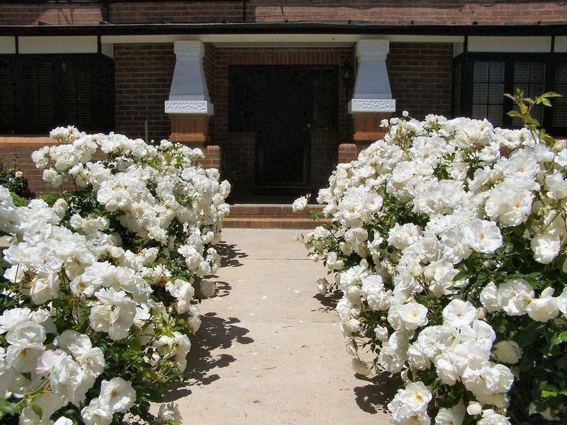 141 Church Street, Glen Innes NSW 2370