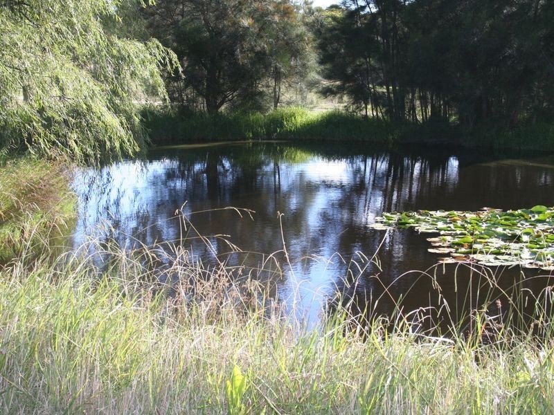 Torrington NSW 2371
