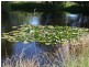 Torrington NSW 2371