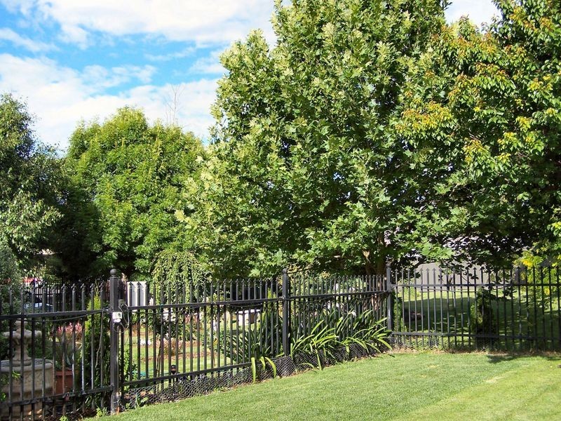 141 Church Street, Glen Innes NSW 2370