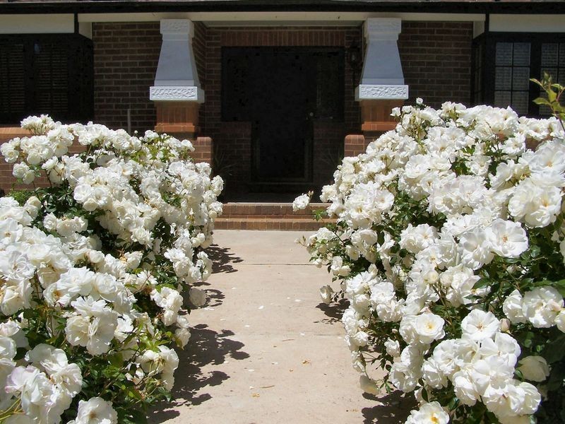 141 Church Street, Glen Innes NSW 2370