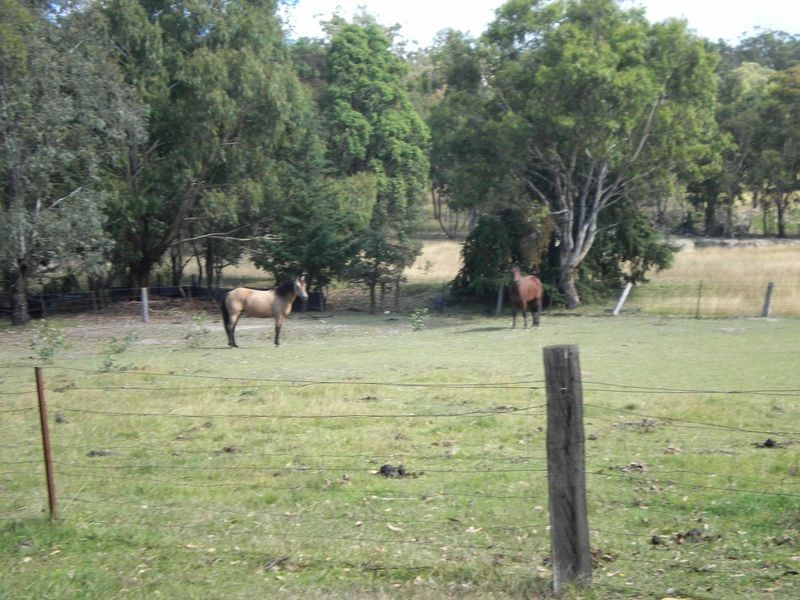 95 Blue Hills Road, Glen Innes NSW 2370