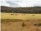 West Lynn Carrot Farm Road, Deepwater NSW 2371